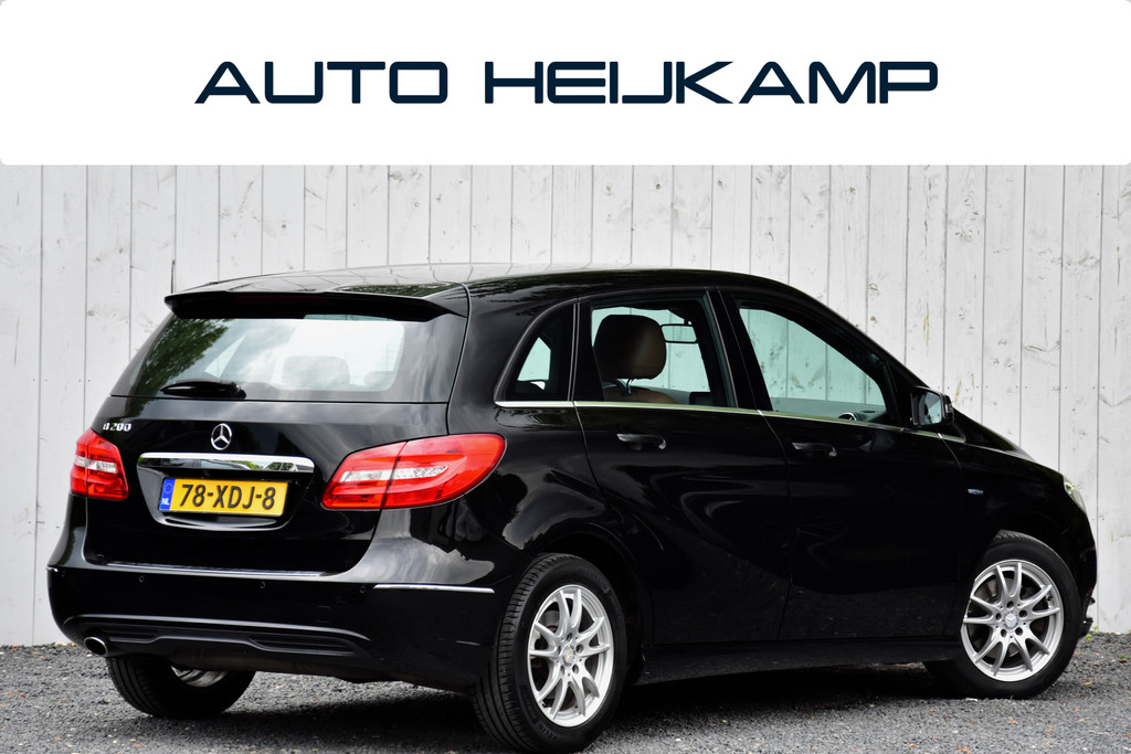 53981917-1.jpg